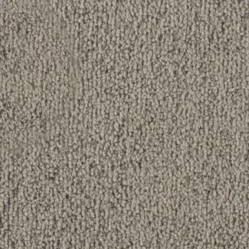 Vorwerk Safira Teppichboden Farbcode 8L37 – Draufsicht ohne Etikett